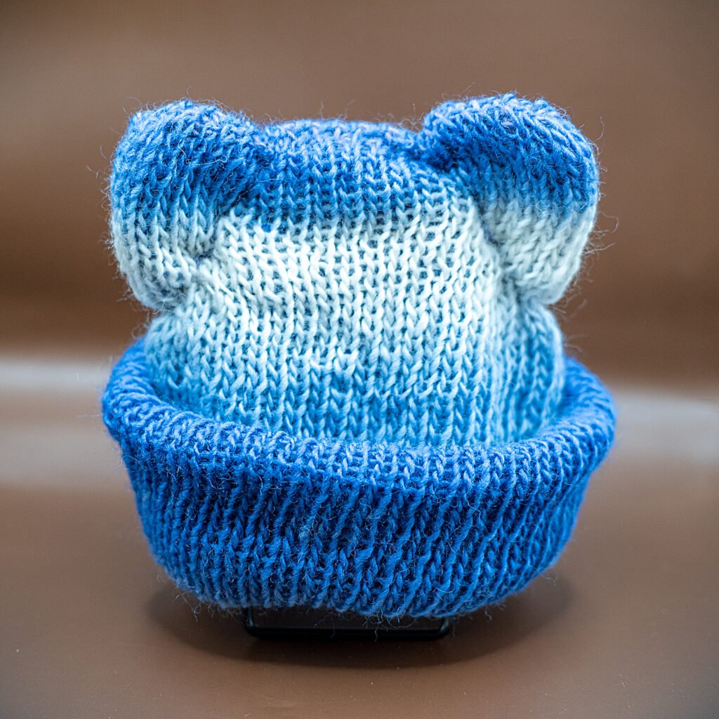 cat ear beanie