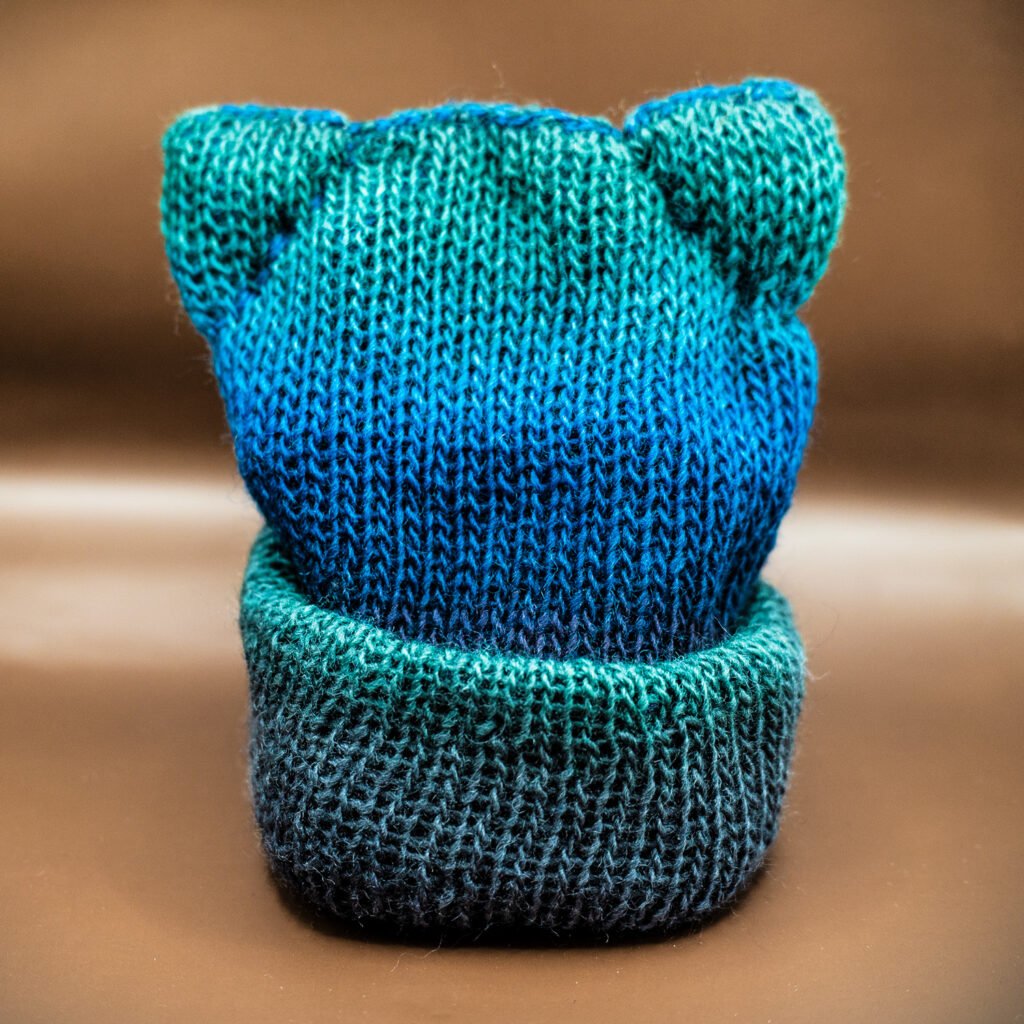 cat ear beanie
