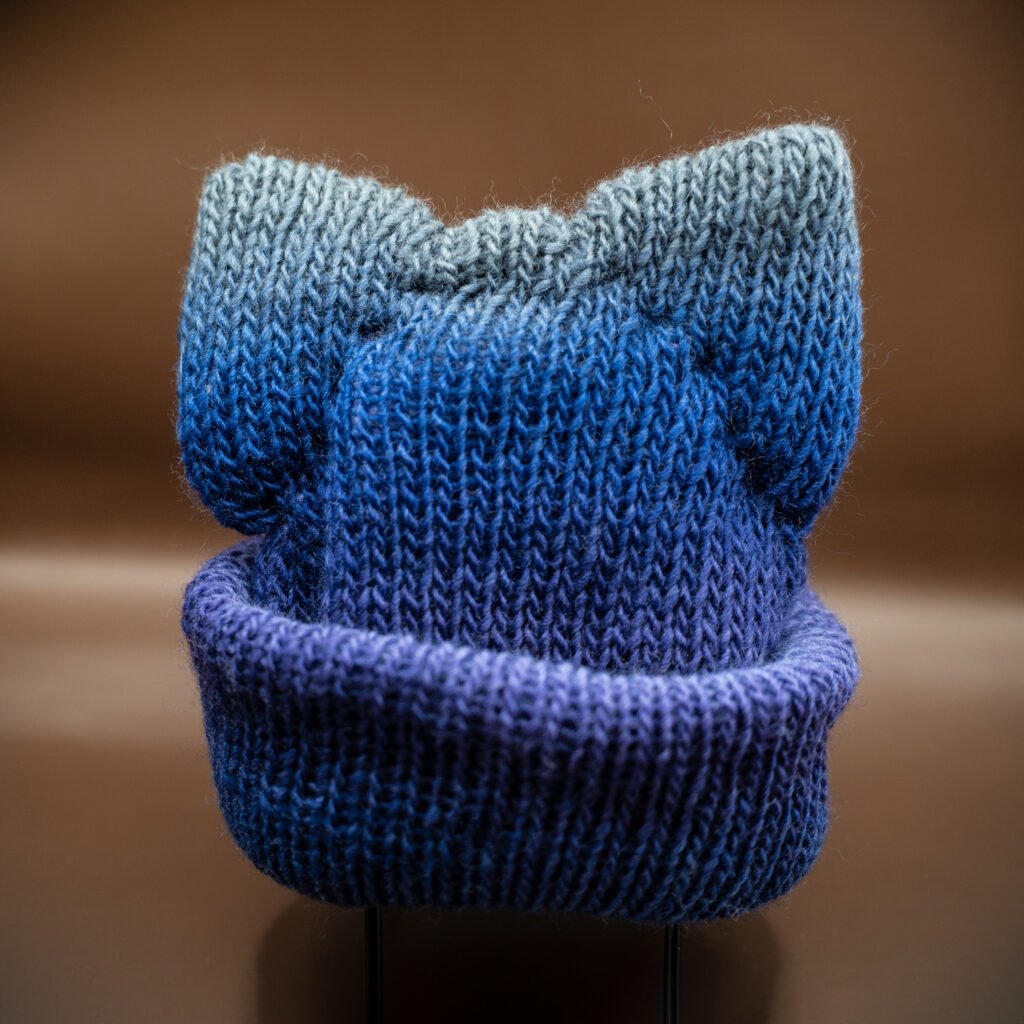 cat ear beanie