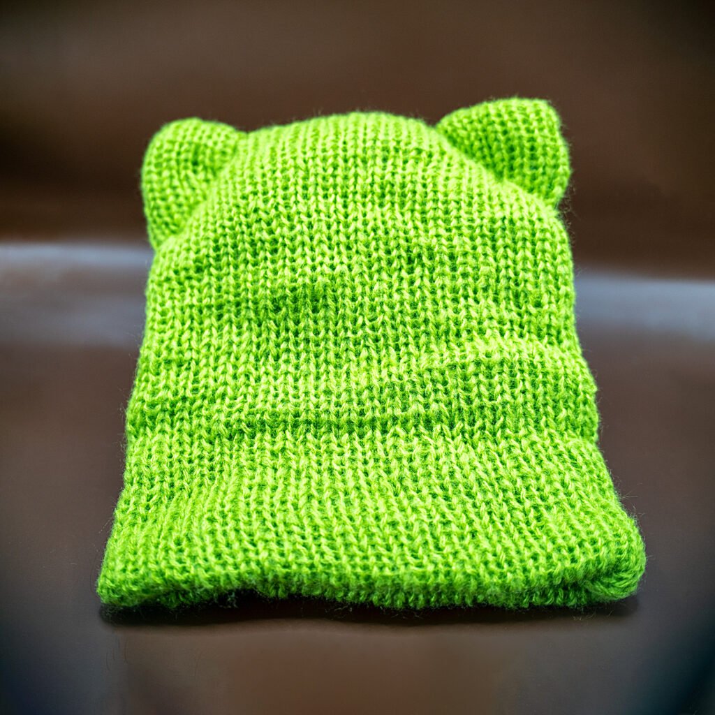 cat ear beanie