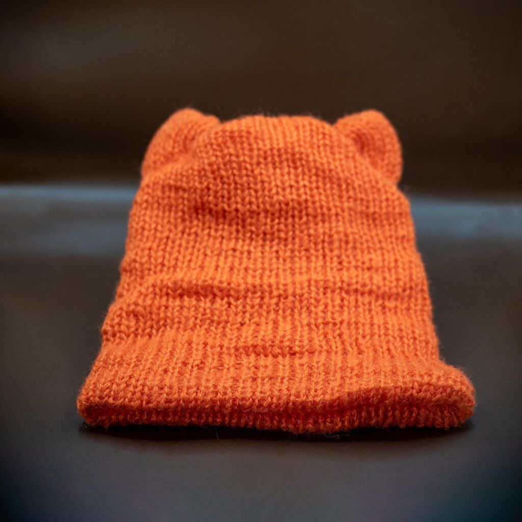 cat ear beanie