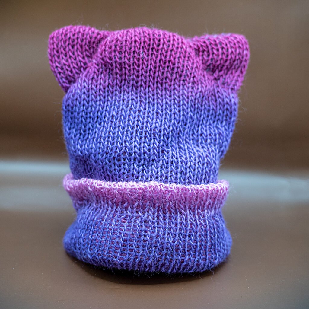 cat ear beanie